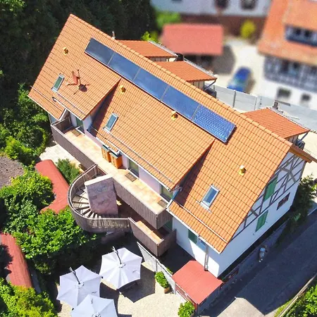 Schusterjunge Sasbachwalden